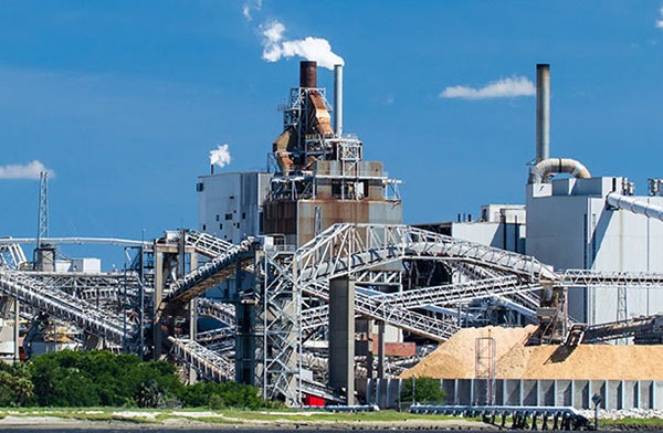 Pulp Papermill